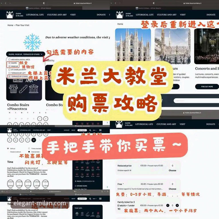 米兰app最新动态全面解析：从新手到高手的完整操作指南